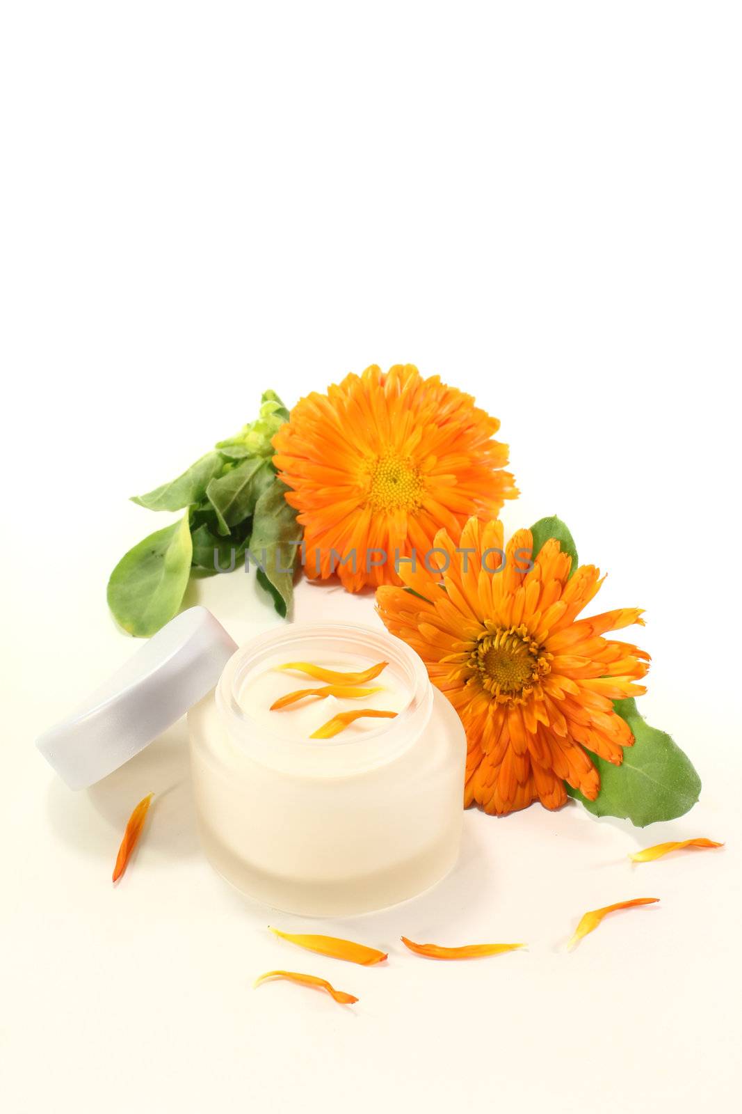 Calendula ointment with flowers and petals by discovery