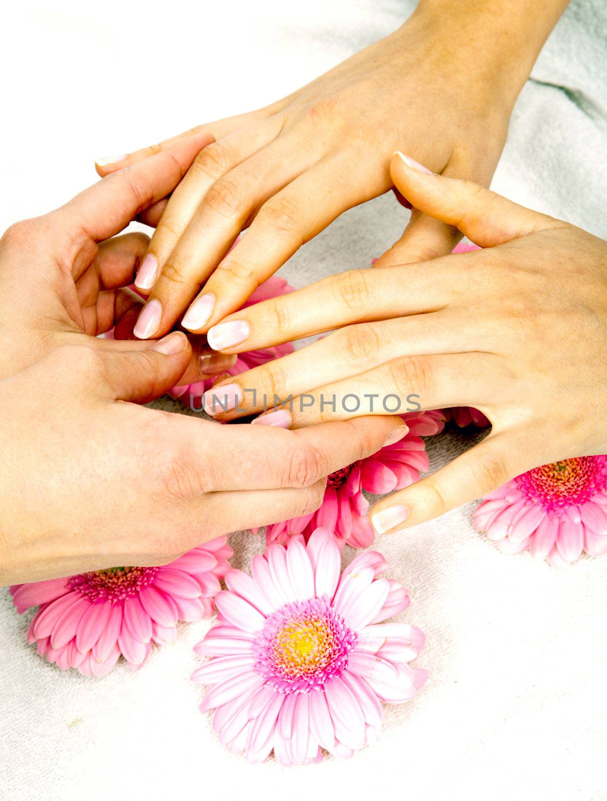 feminin hands with a treatment doing a manicure closeup by juniart