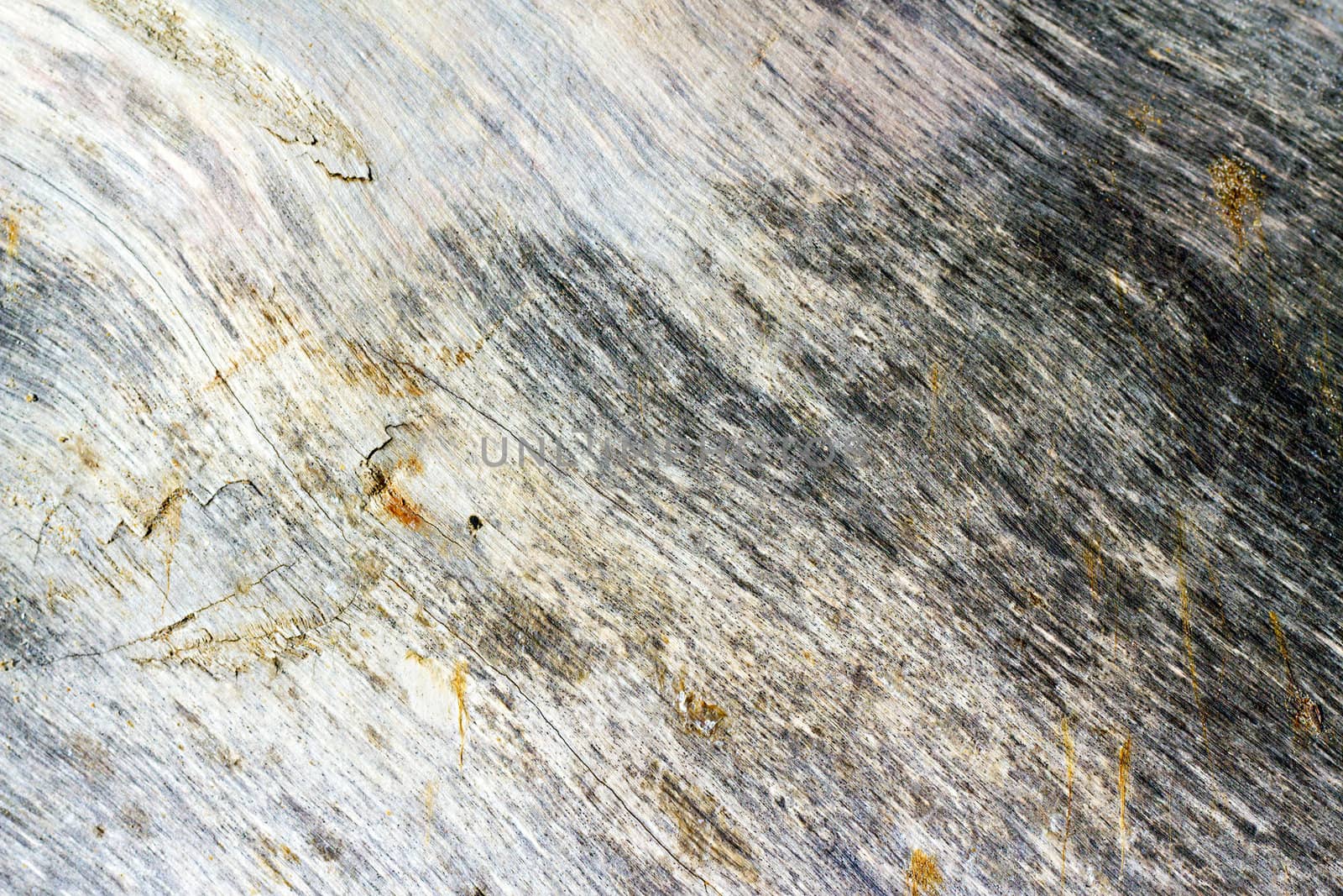 texture of old wood with cracks by Plus69