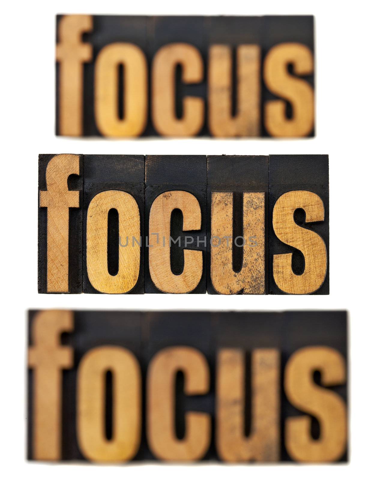 focus word in and out of focus  - a collage of isolated text in vintage letterpress wood type