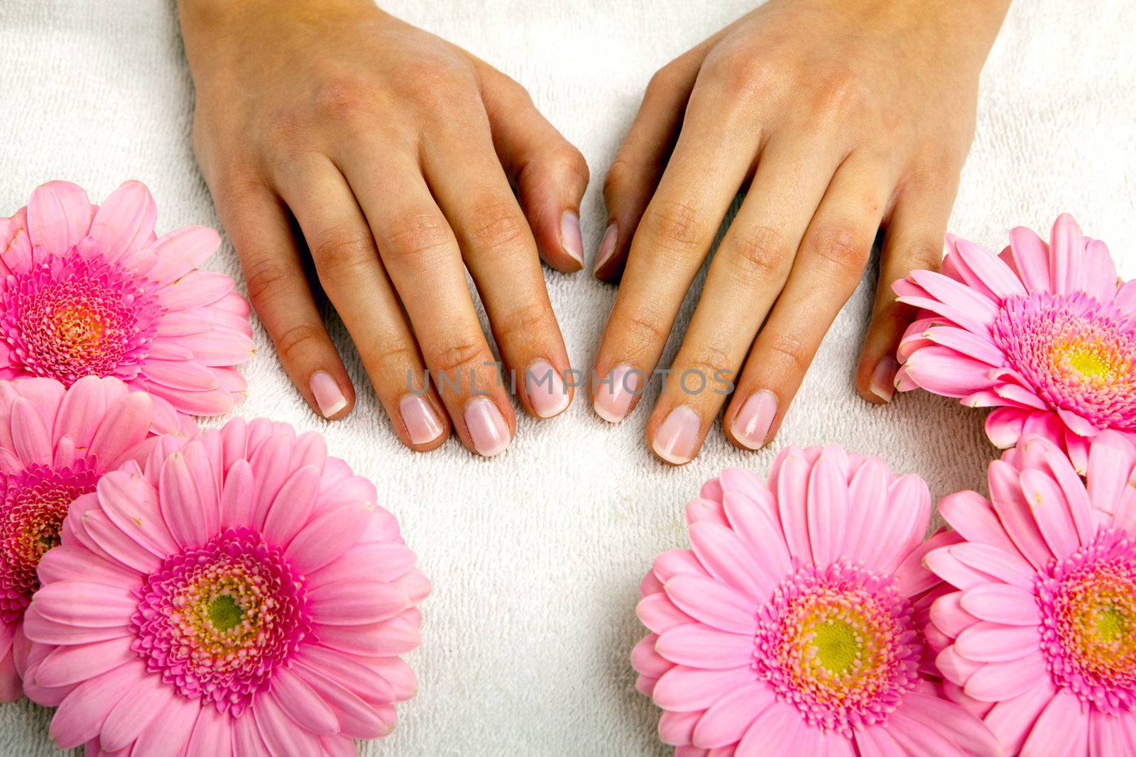 feminin hands with a treatment doing a manicure closeup by juniart