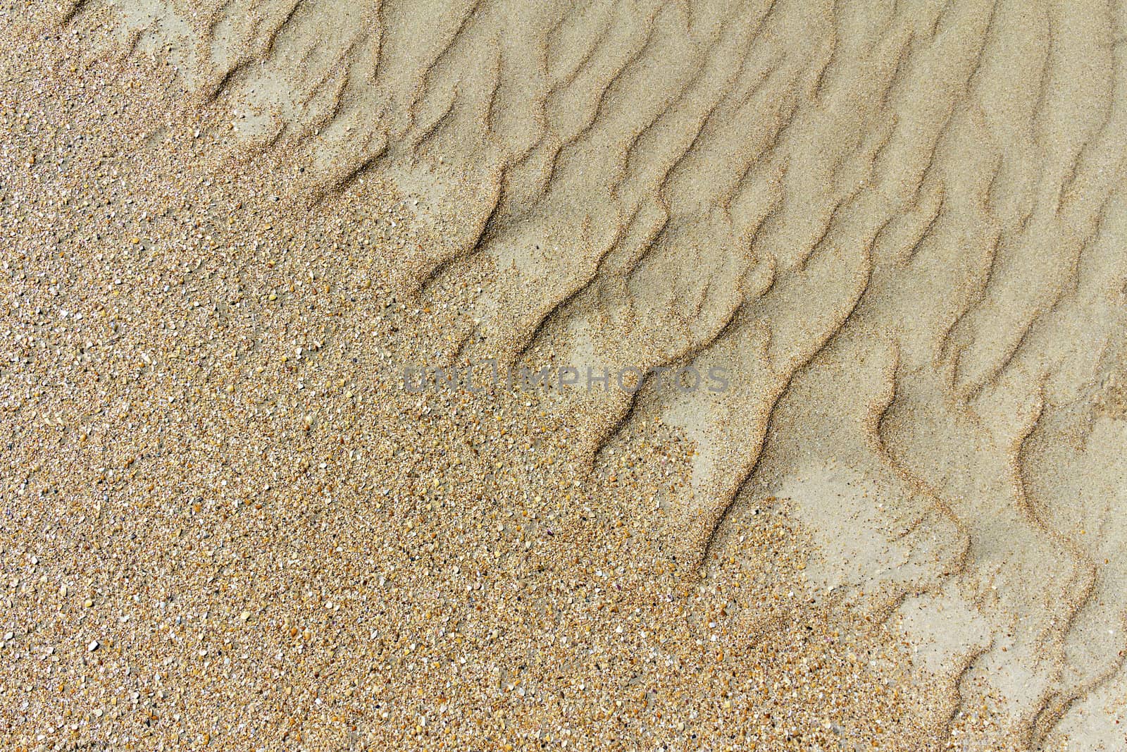 image of sand dunes by Plus69