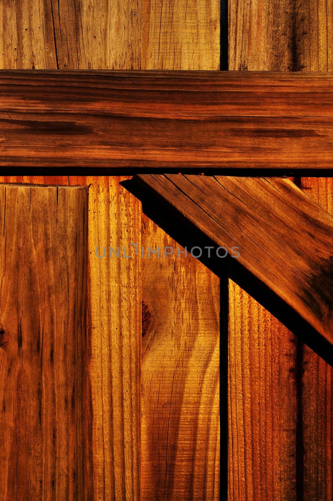 Close detail of a backyard wooden fence boards.