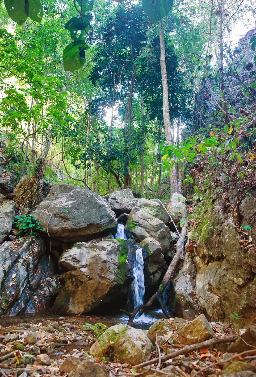 small waterfall cascade in the stream in northern thailand