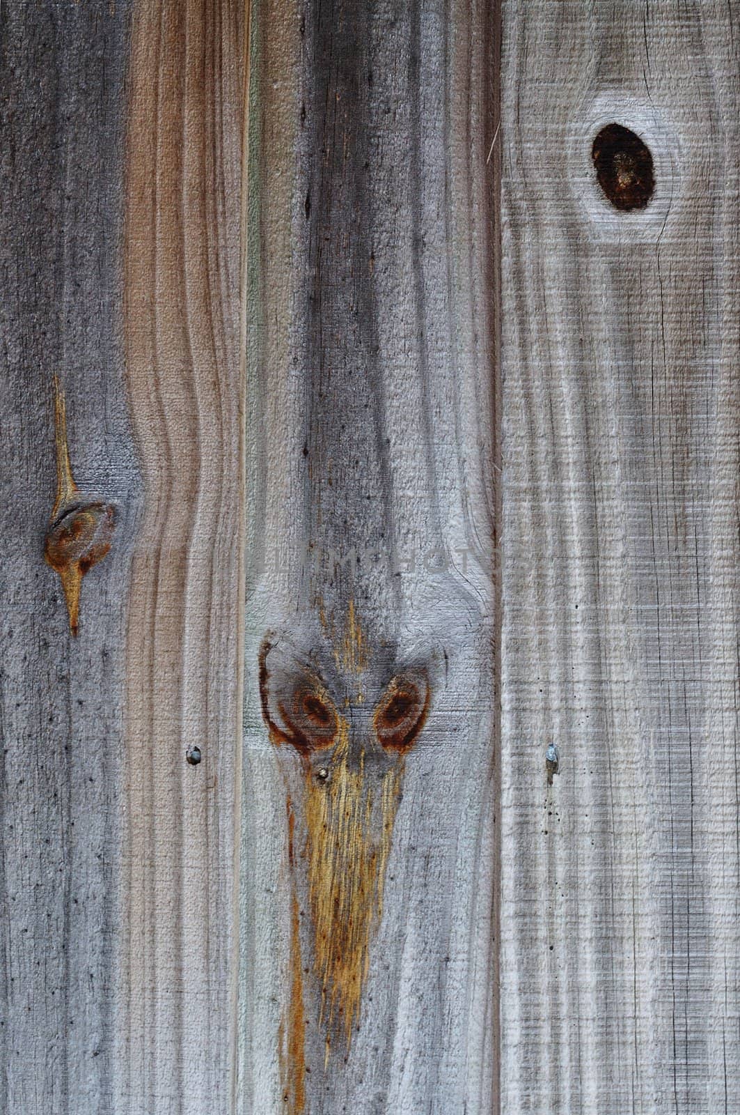 Old weathered backyard wooden fence planks