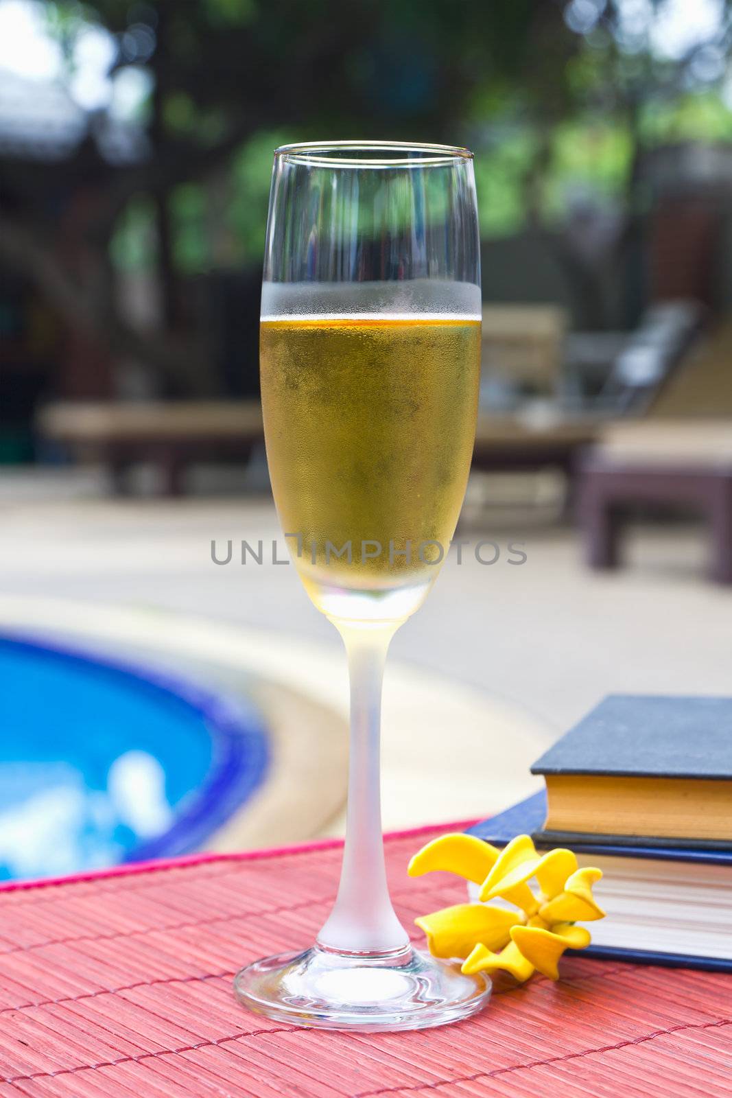 Wine glasses and book at the pool. Relaxing scene