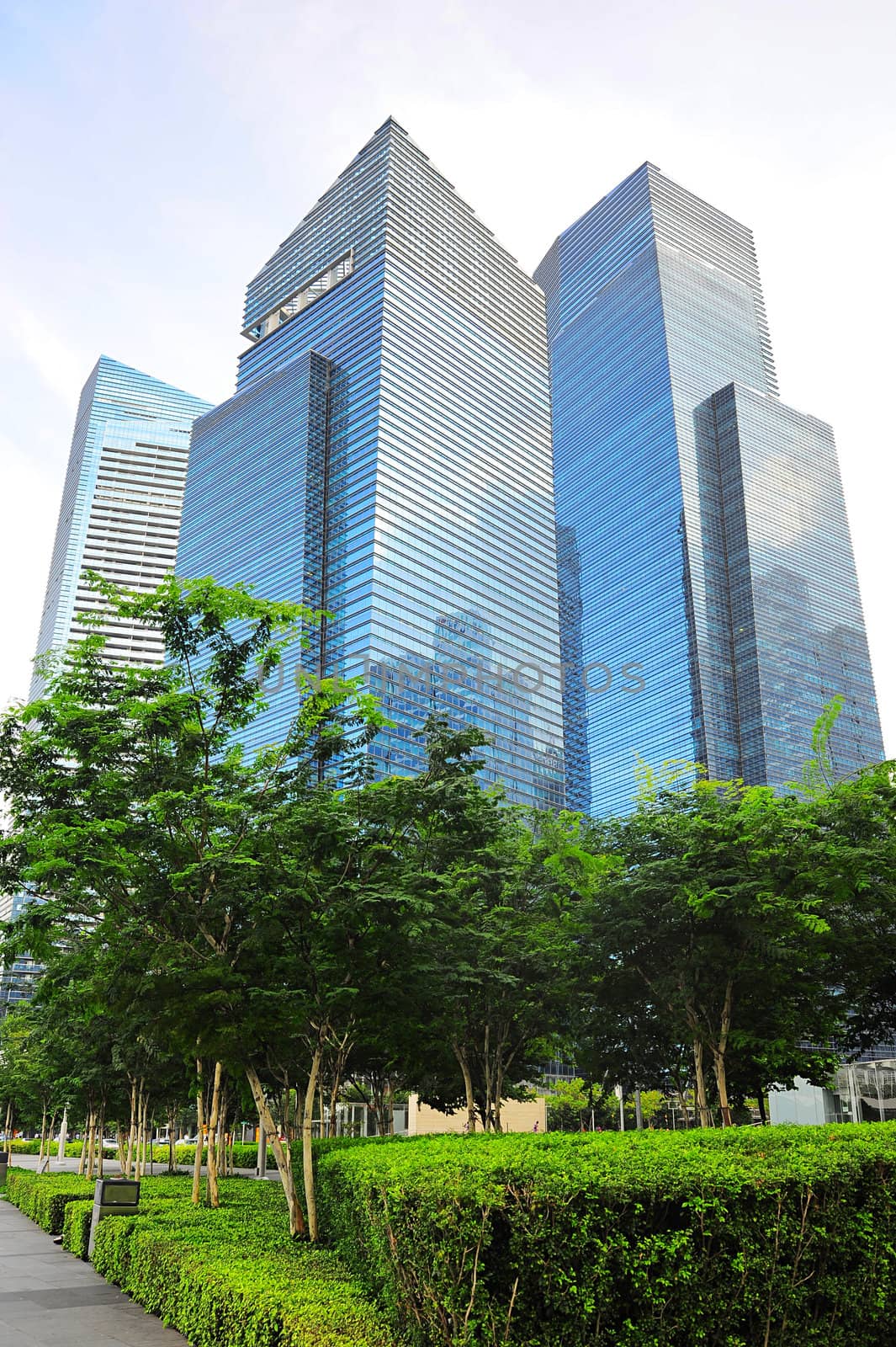 Modern park and scyscraper in Singapore