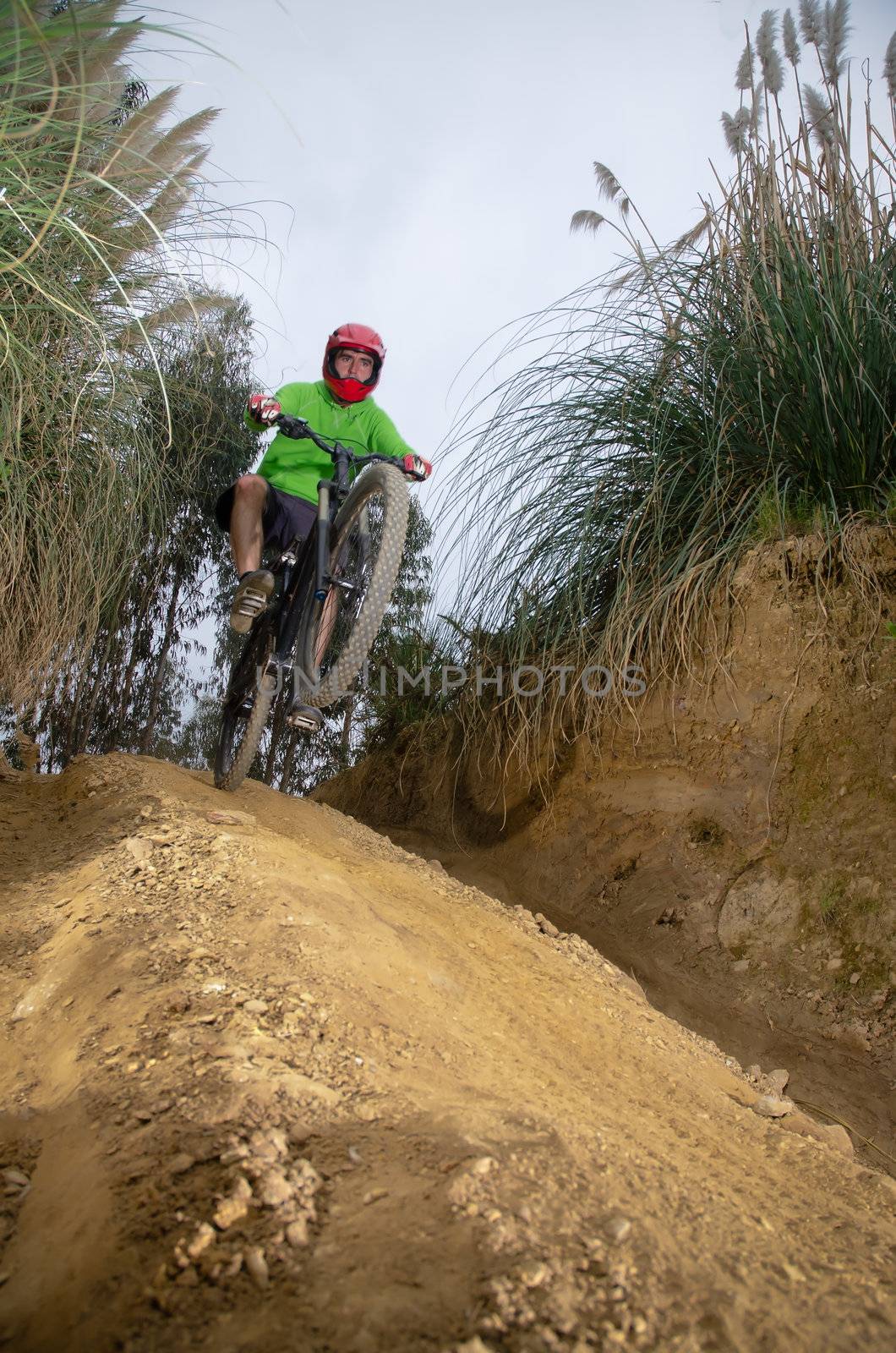 MTB downhill biking in the forest.