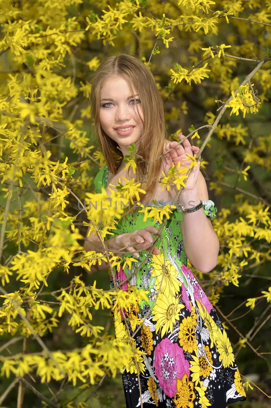 a girl is standing near Forsythia bush by LesM