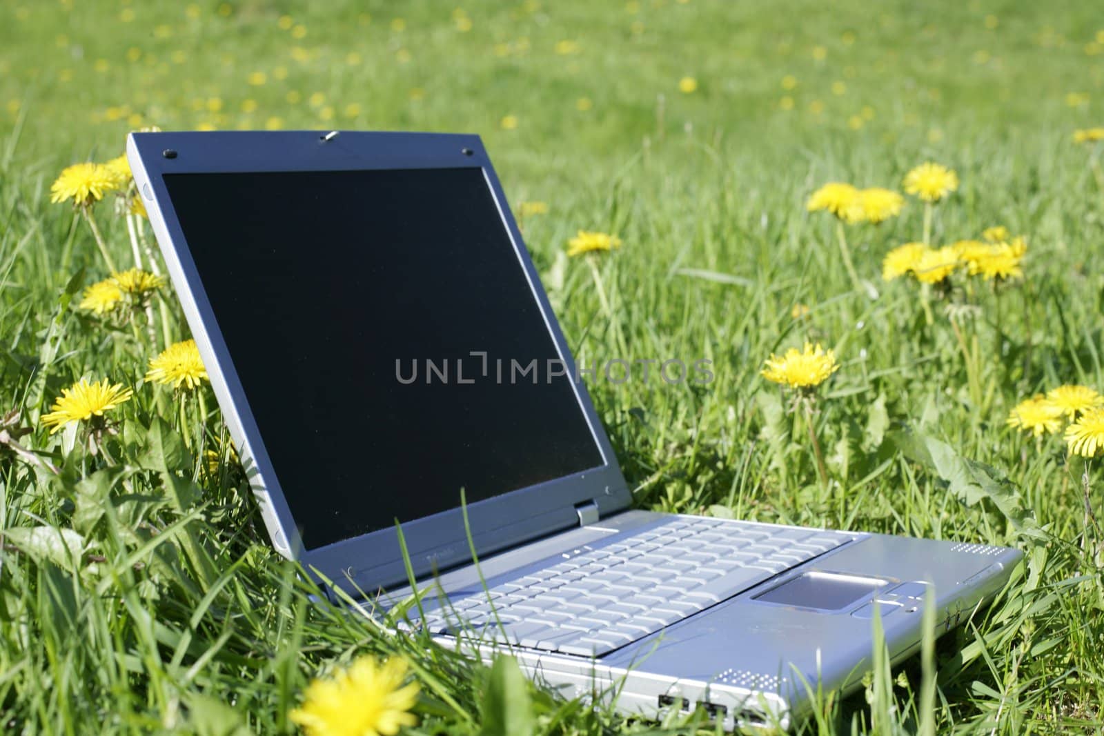 laptop in grass as a symbol for fieldwork,leisure or holiday