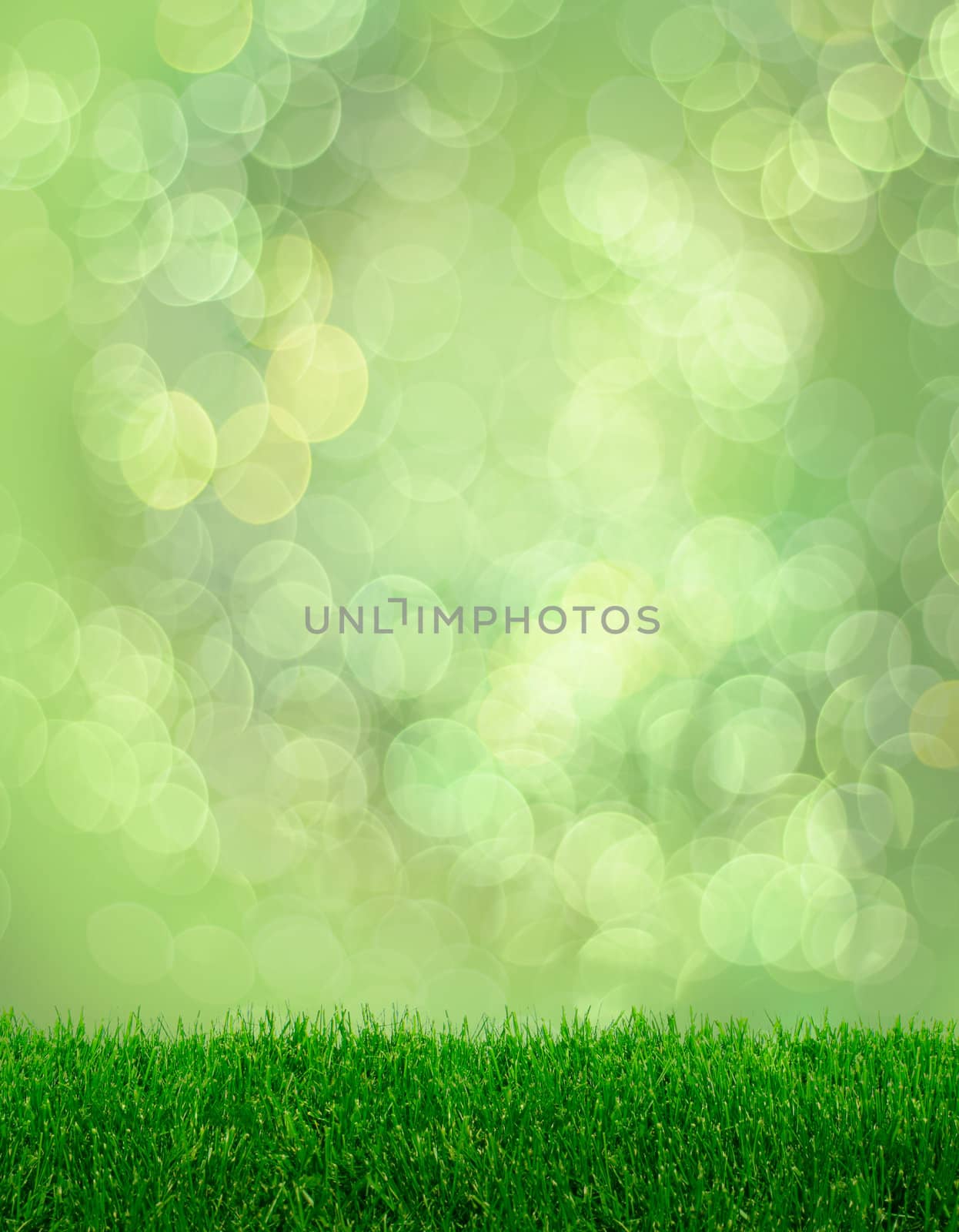 Green grass spring fantasy soft bokeh effect background