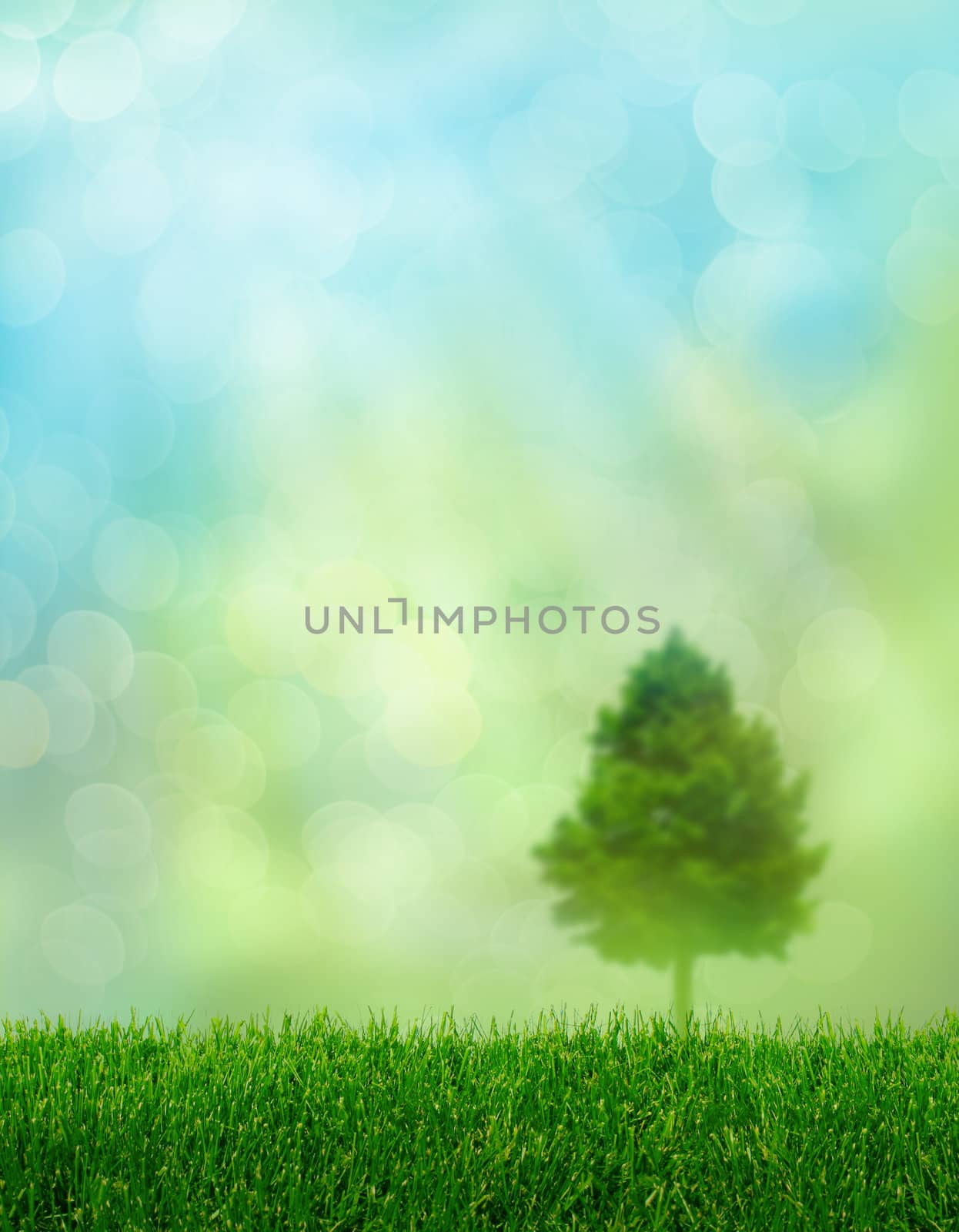 Green grass spring fantasy soft light effect background