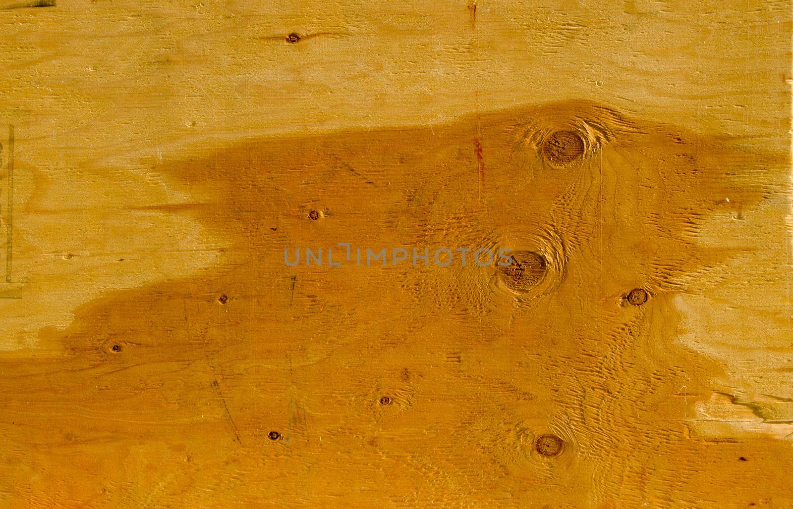 Background of wet wooden plate sheet wall closeup by sauletas