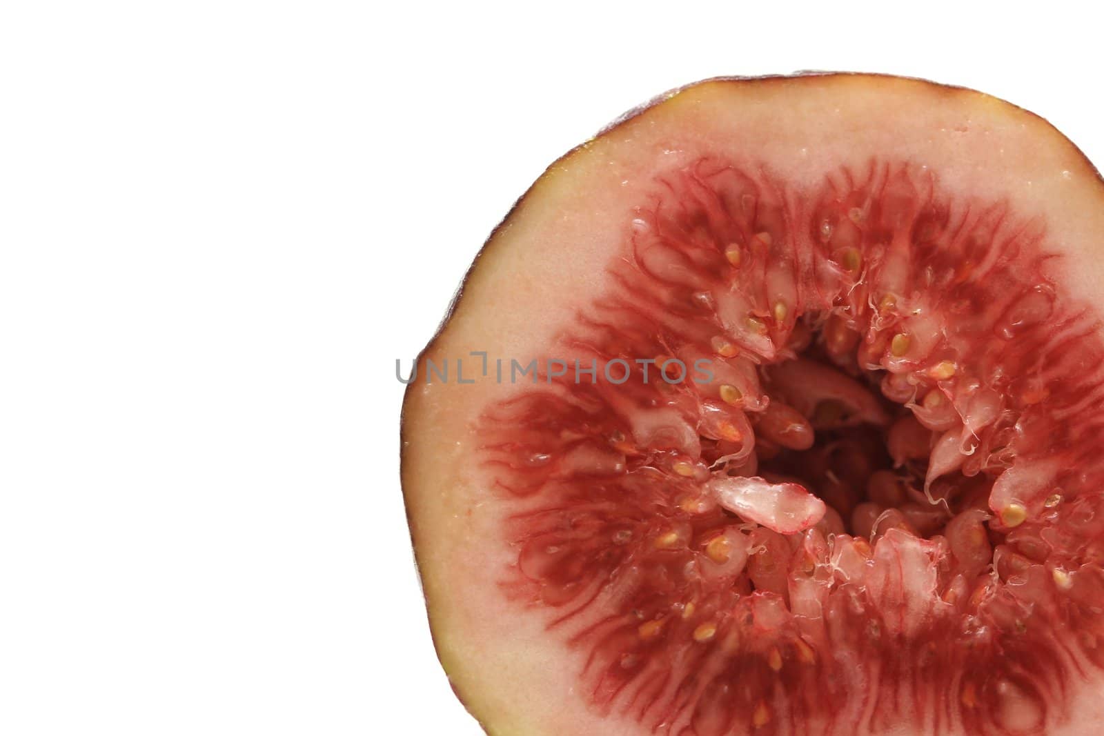 fig fruit by Teka77