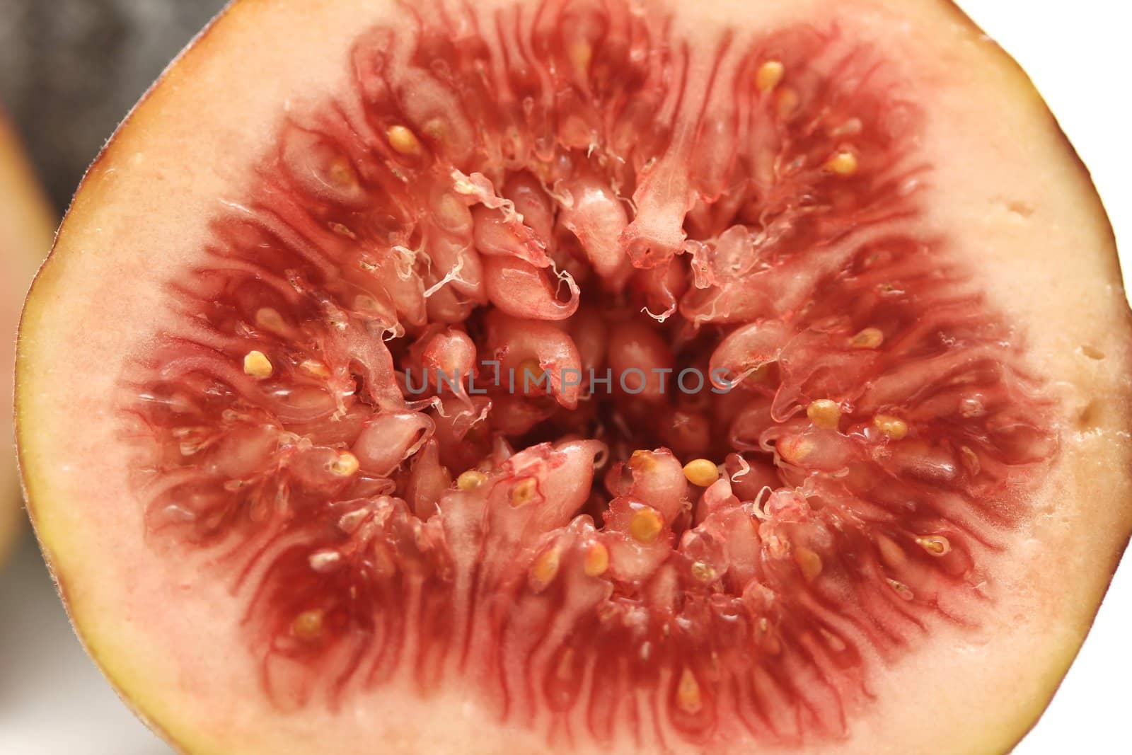 fig fruits by Teka77