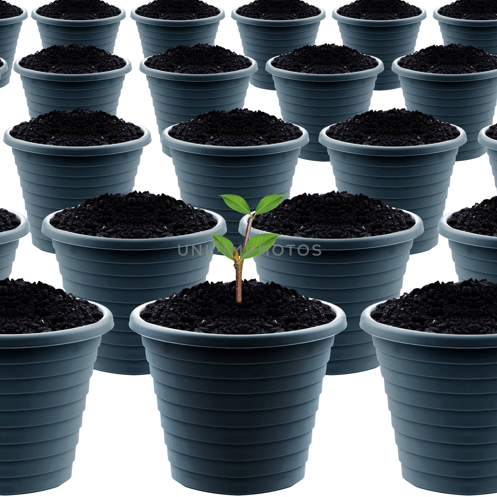 plastic garden pot isolated on white background