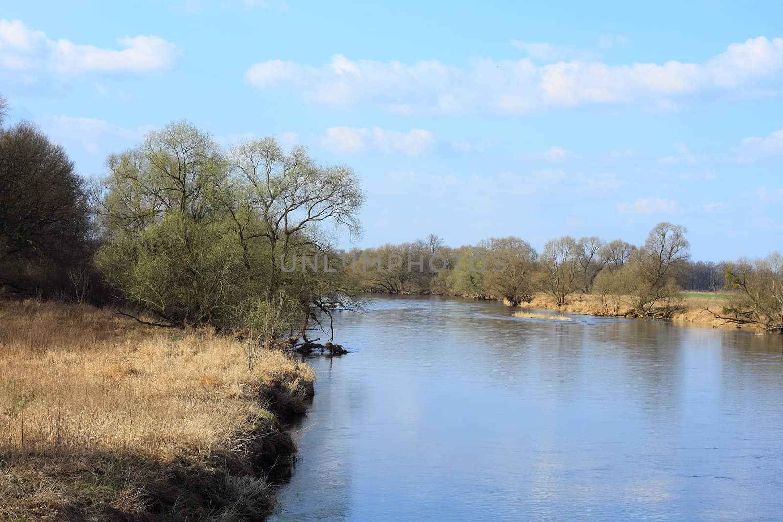 Mulde river in early spring in Germany