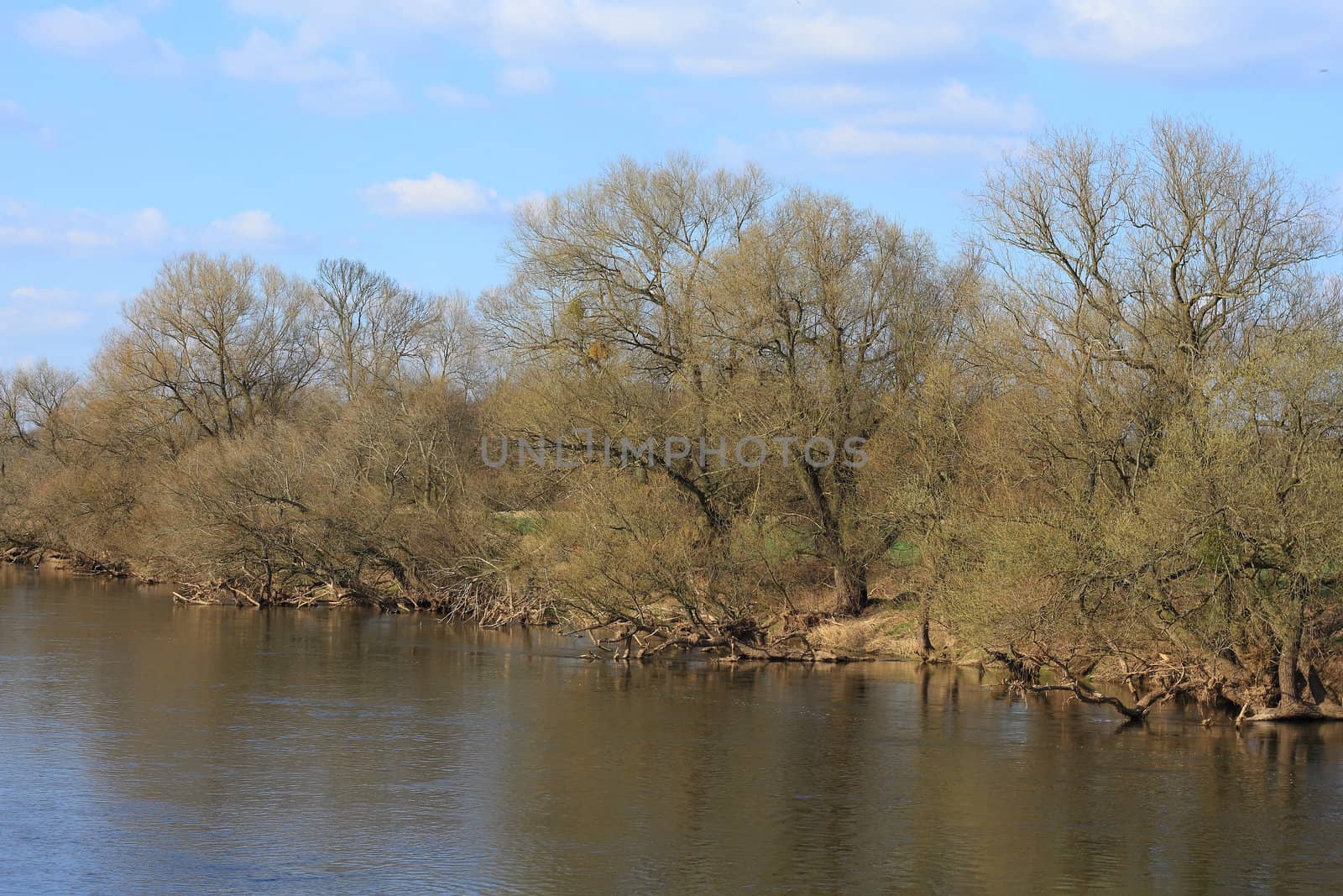 Mulde river in early spring in Germany