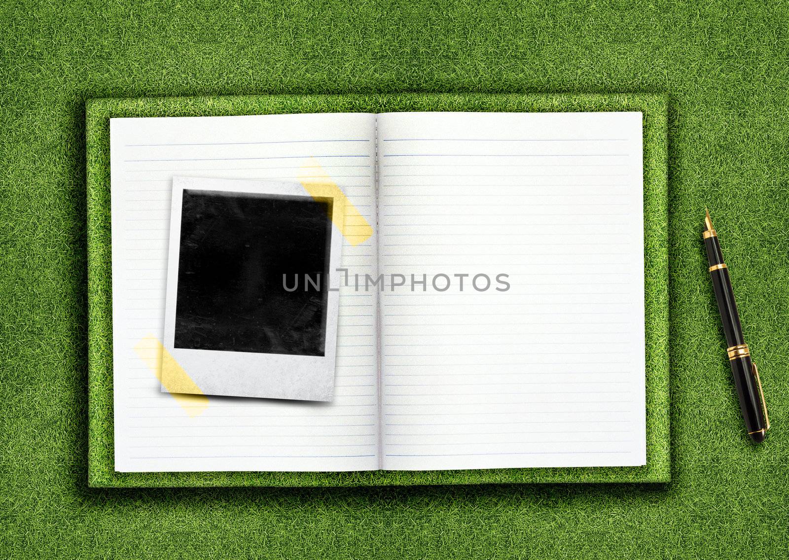 Biography,curriculum vitae concept, blank opened book and empty photo on the green grassland and pen