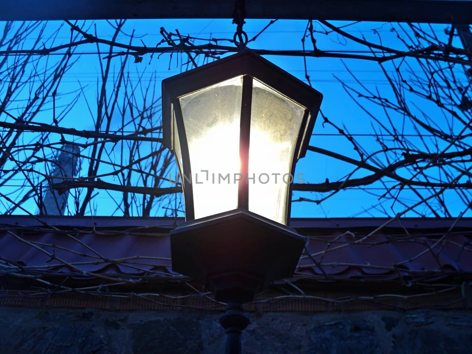 General view of a being shone electric lamp against the dark blue sky