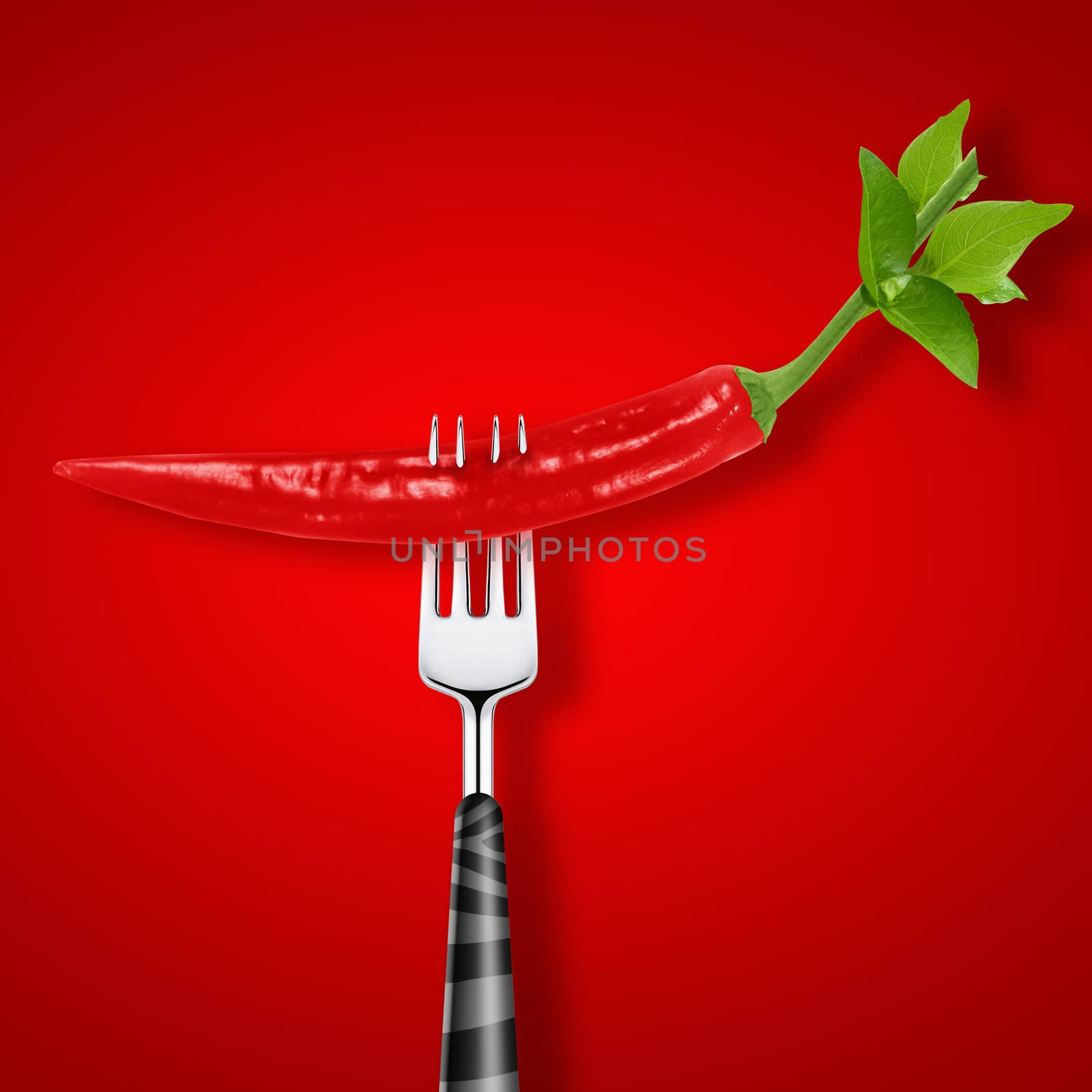 red hot chili pepper pierced by fork on red background .
