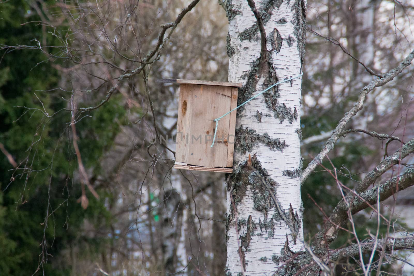 Birdhouse in Finland on a tree. Spring time.