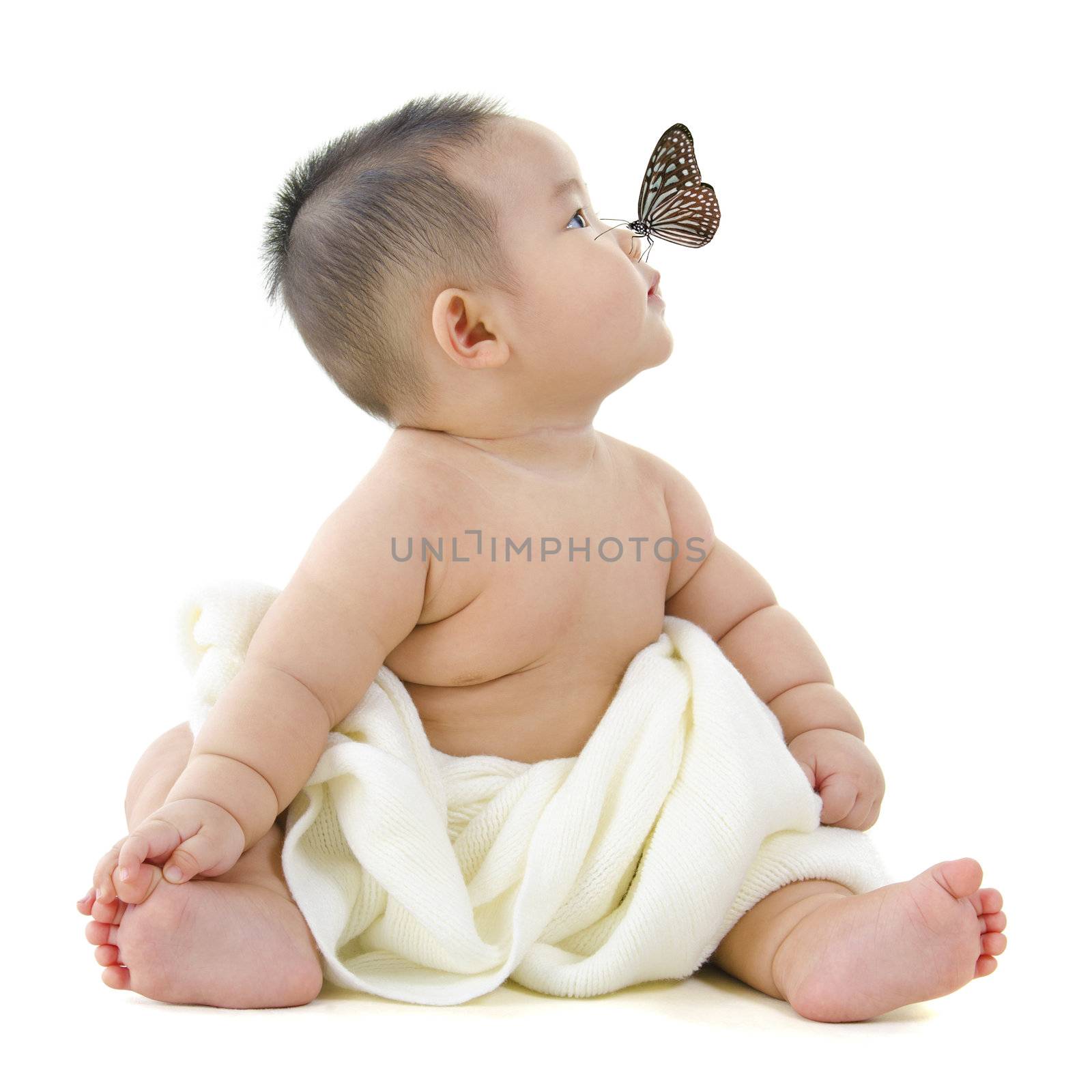 Butterfly flying to Asian baby boy nose, on white background