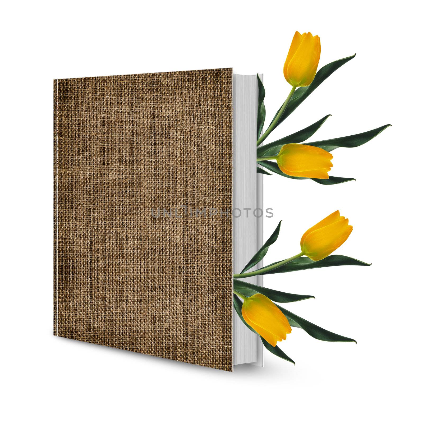 front view of mat book cover and tulips flower.