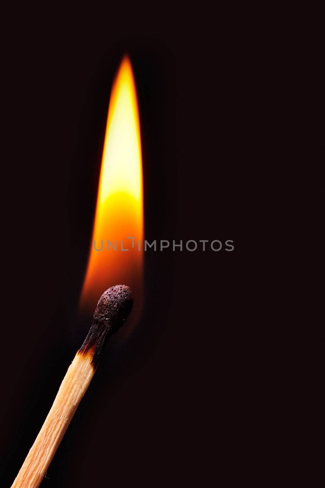 Match burns in a black background