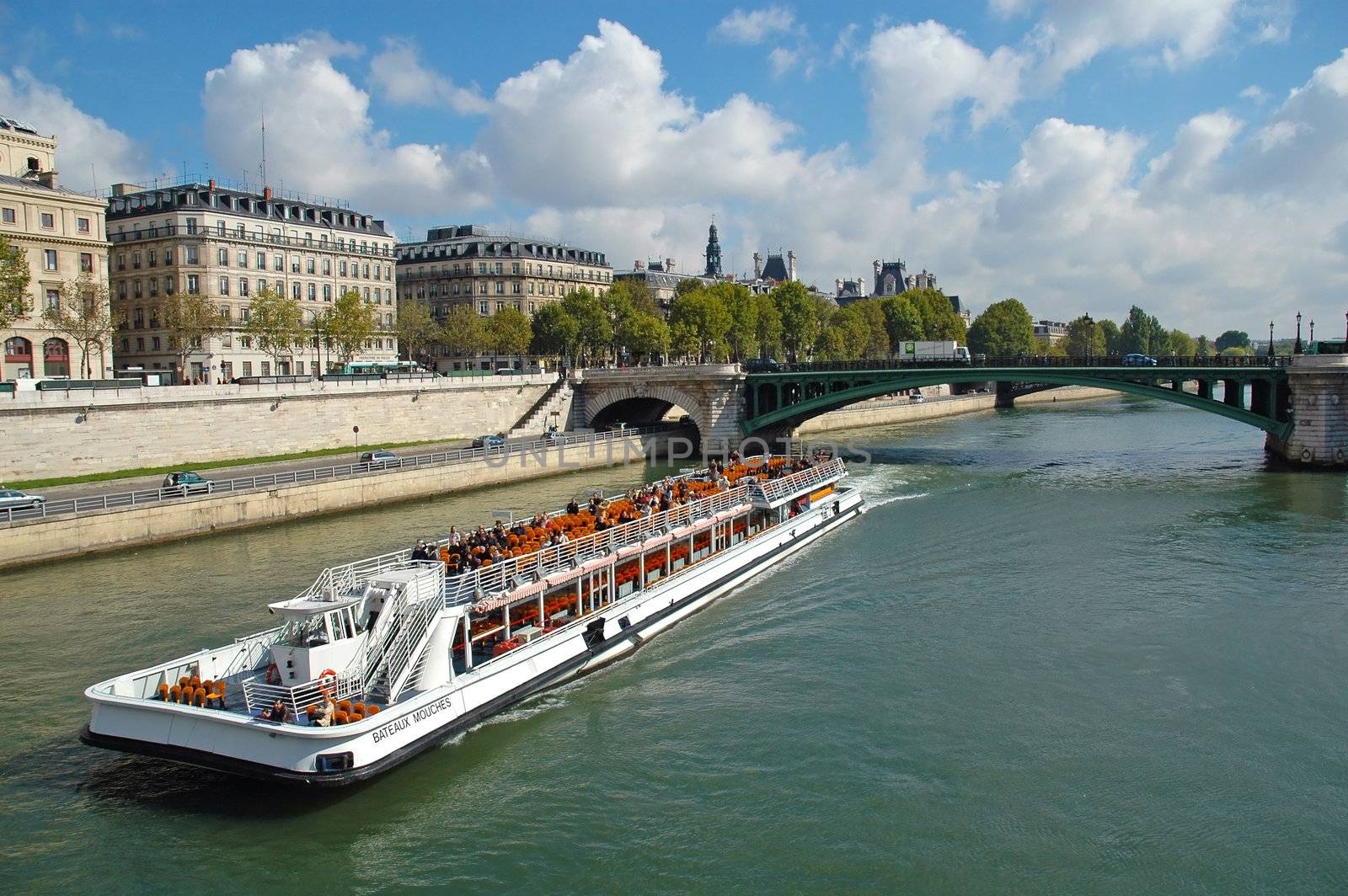 Seine river in Paris, France by ruigsantos