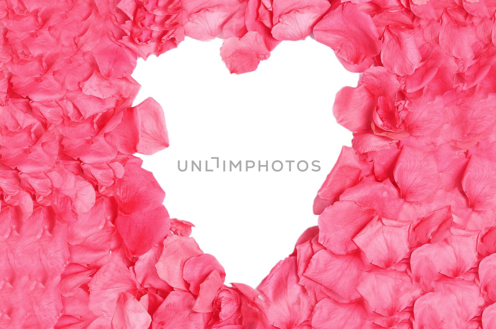 Heart Shaped Rose Petal Frame in a white isolated background