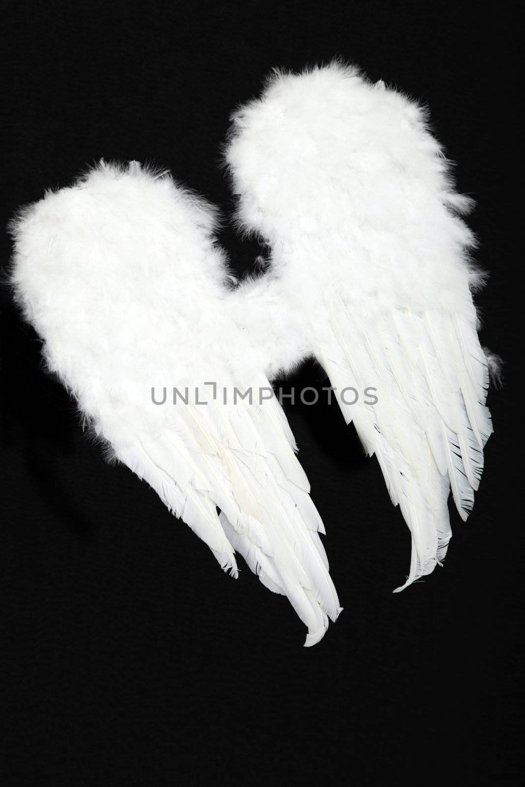 Pair of angel wings on black background