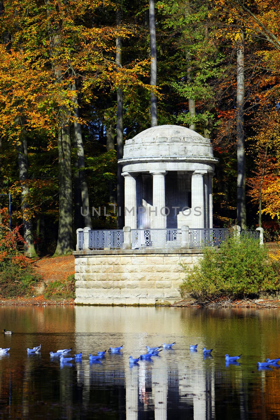 Lakeside gazebo or pavilion reflected in the tranquil water backed by colourful autumn trees