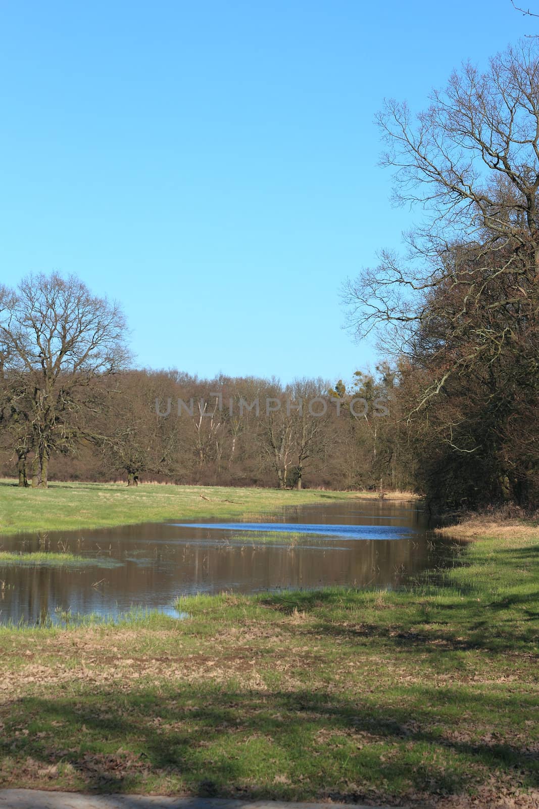 Pond in a floodplain in early spring