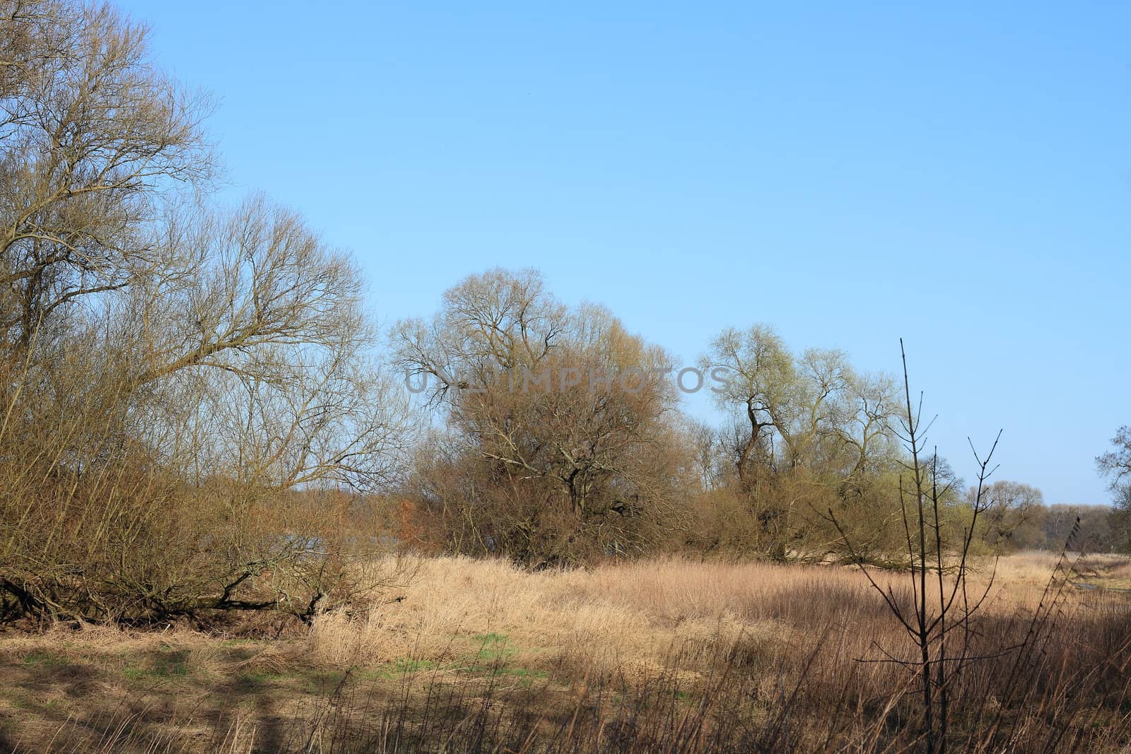 Floodplain landscape by tdietrich