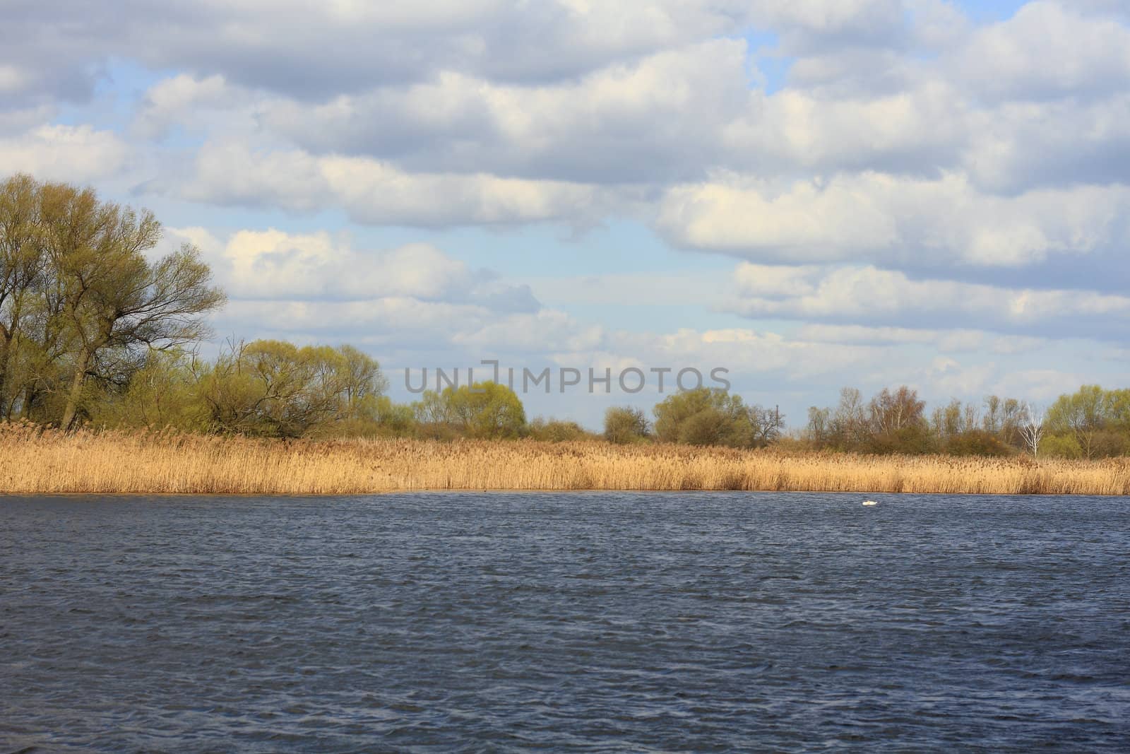 Lake by tdietrich