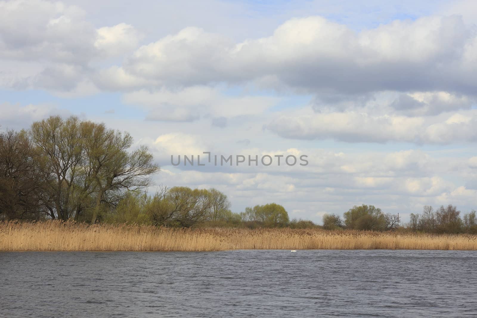 Lake in a floodplain in early spring