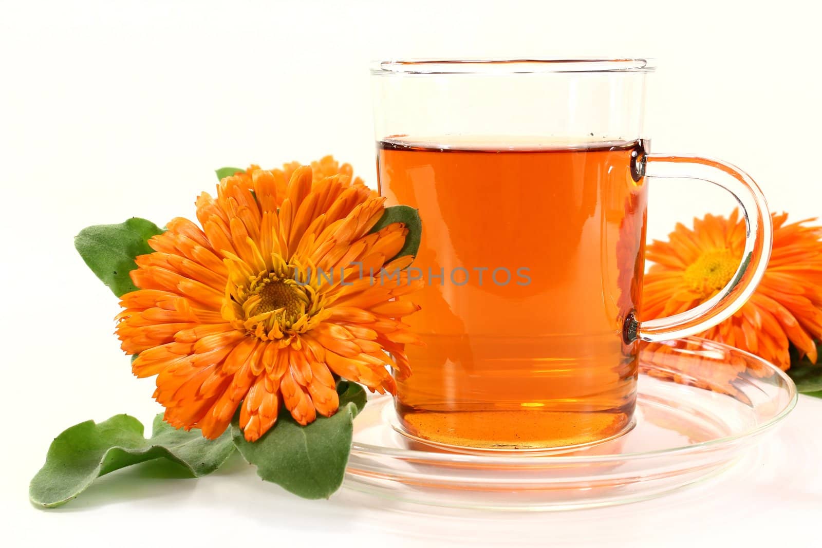 Marigold tea by silencefoto