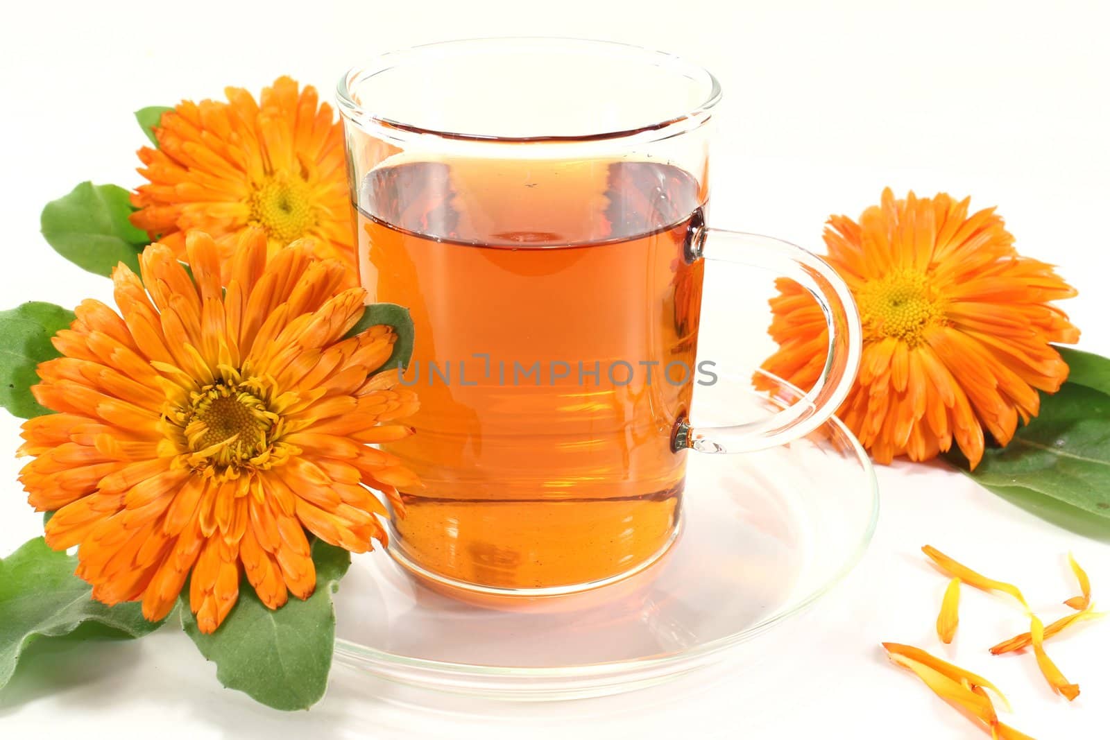 a glass of marigold tea and calendula flowers on a bright background