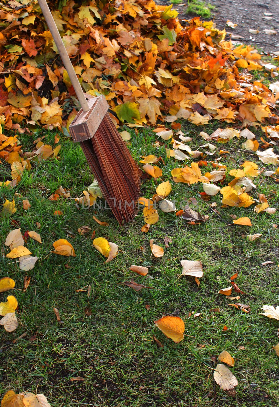 Traditional bristle broom and colorful autumn leafs in garden