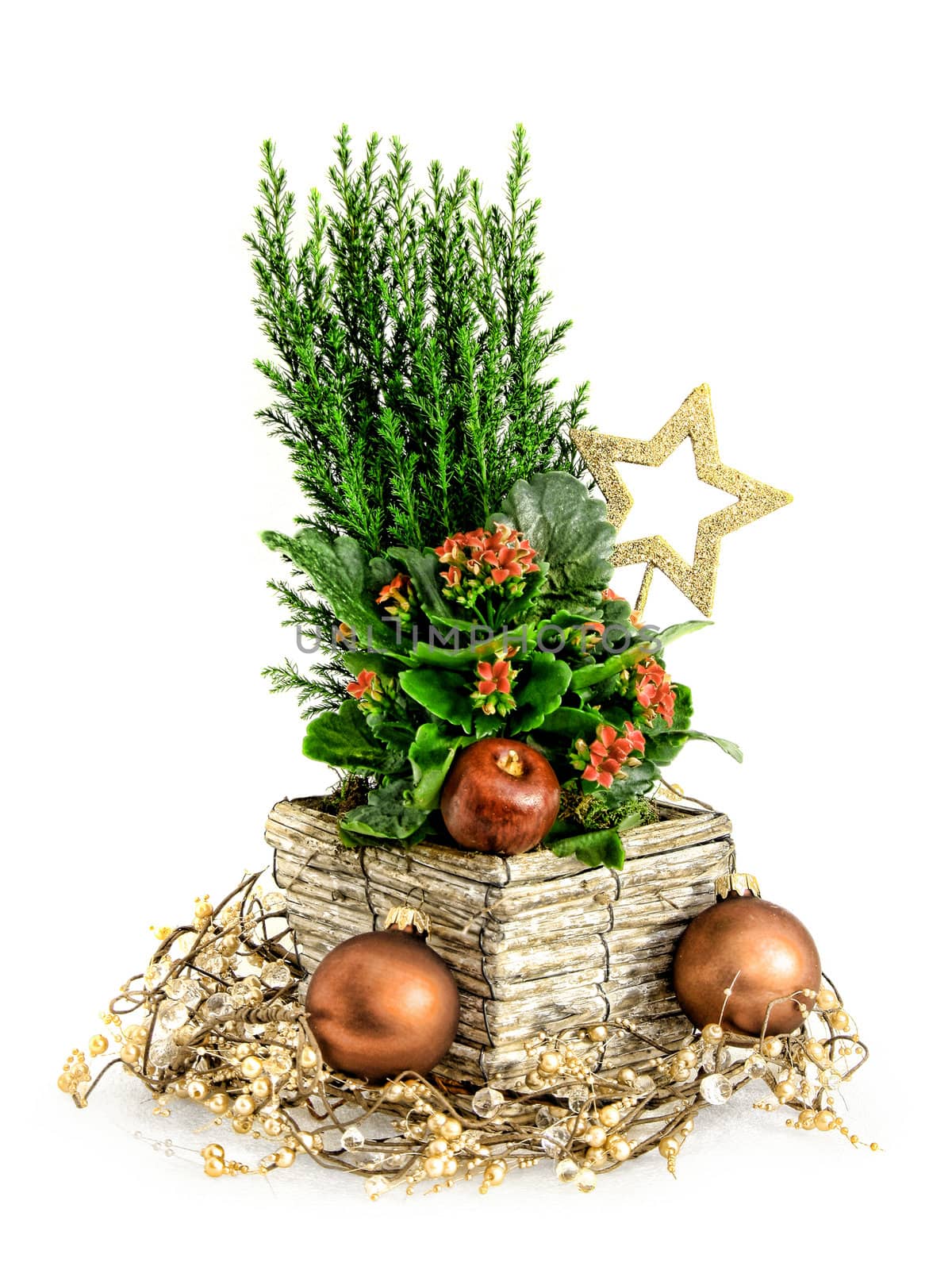 Christmas style decoration arrangement with cypress and flowers