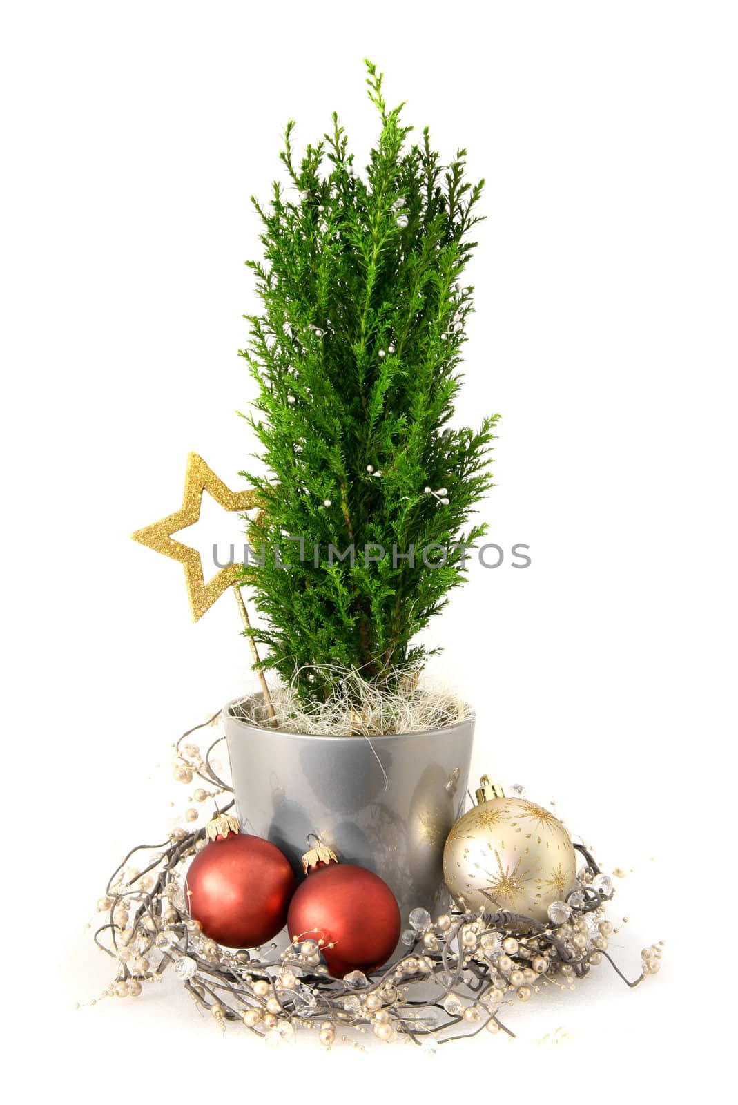 Christmas arrangement by anterovium