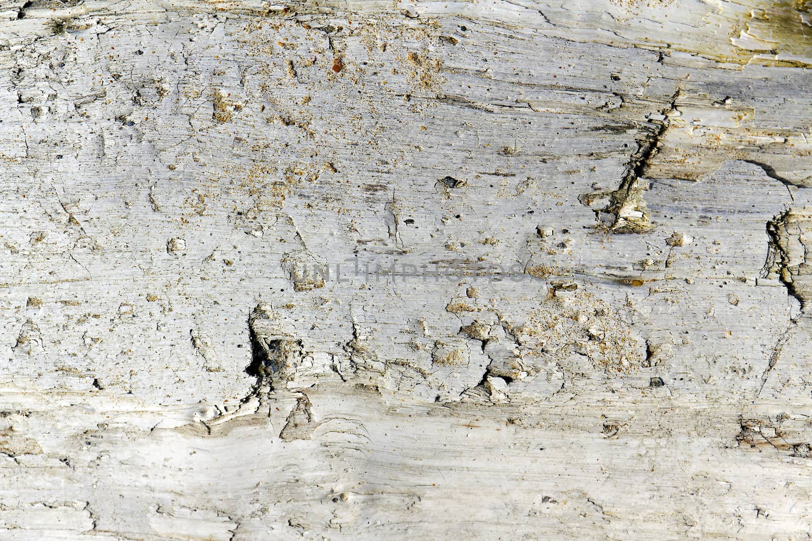 texture of old wood by Plus69