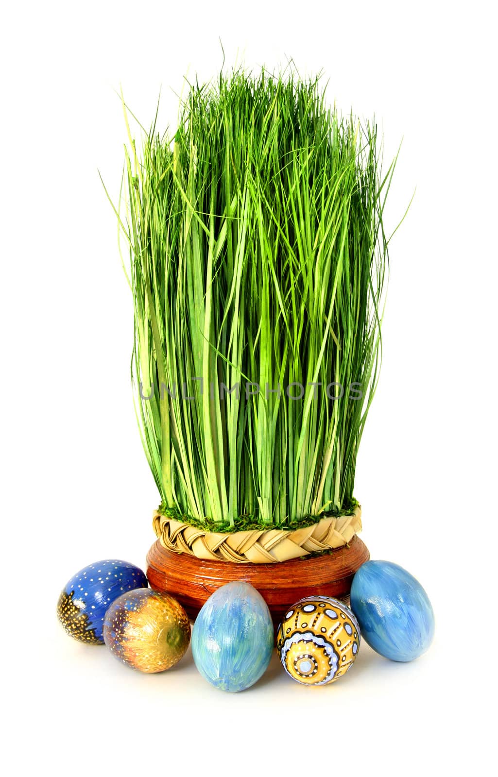 Fresh green easter decoration grass with painted eggs