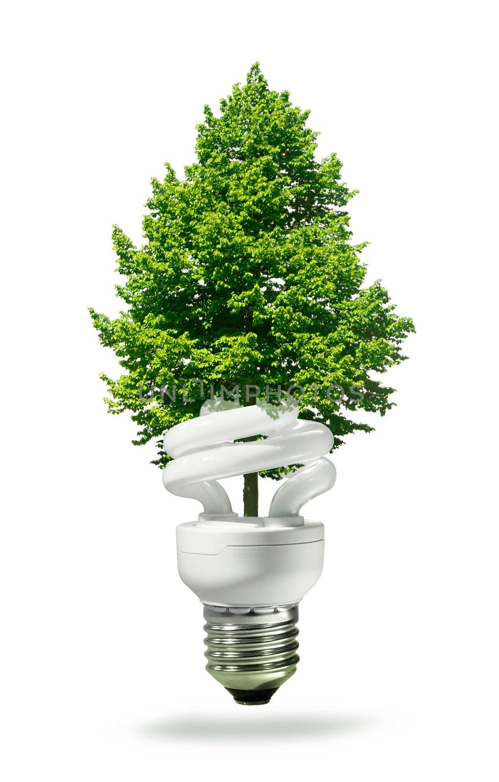 Eco lamp with new green tree growing through