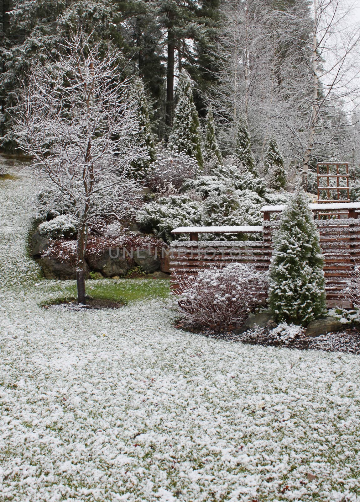 First winter snow has fallen into autumnal garden