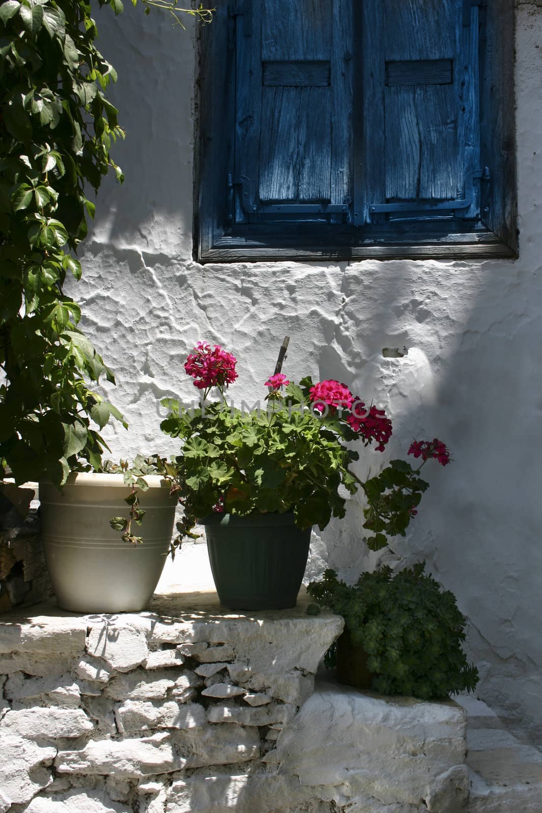 Blue greek window shutters and red geranium against white plaster stone wall