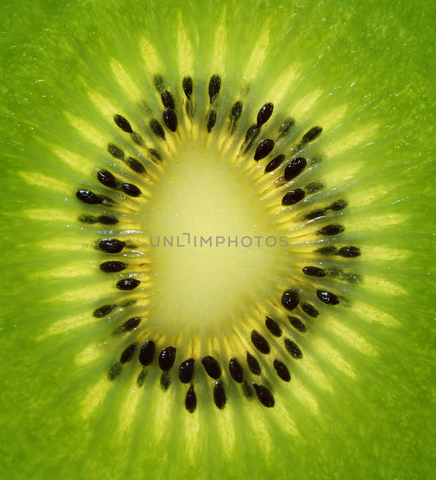 Close-up of fresh green kiwi fruit center