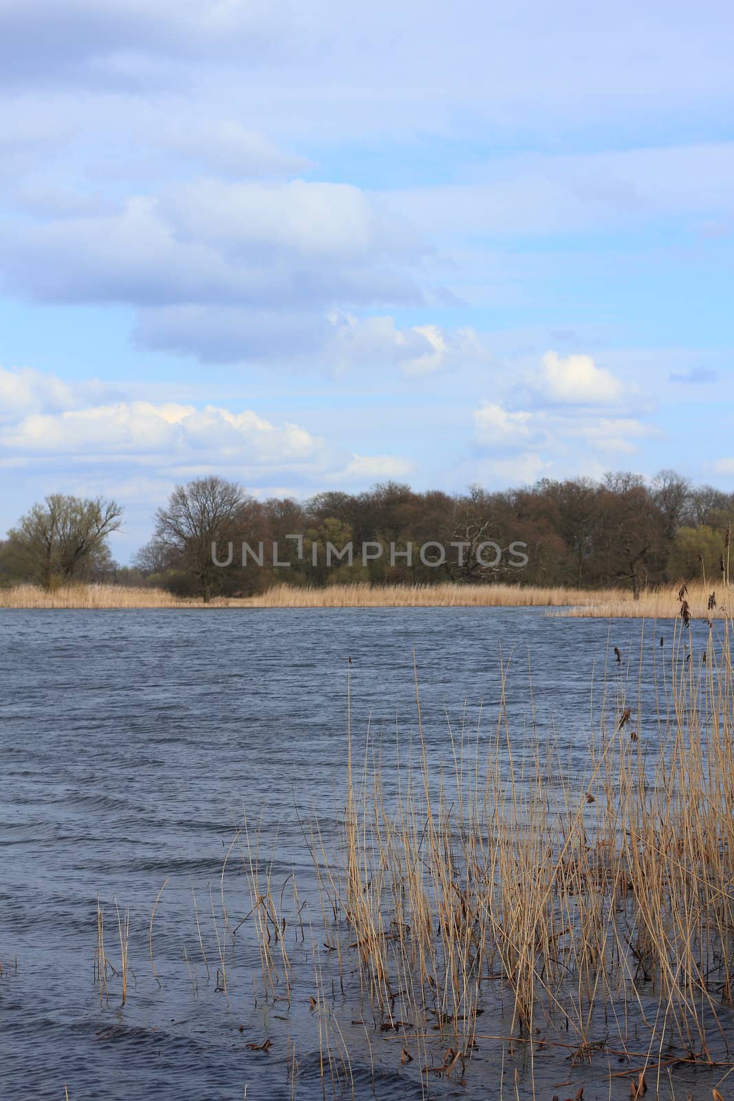 Lake in a floodplain in early spring