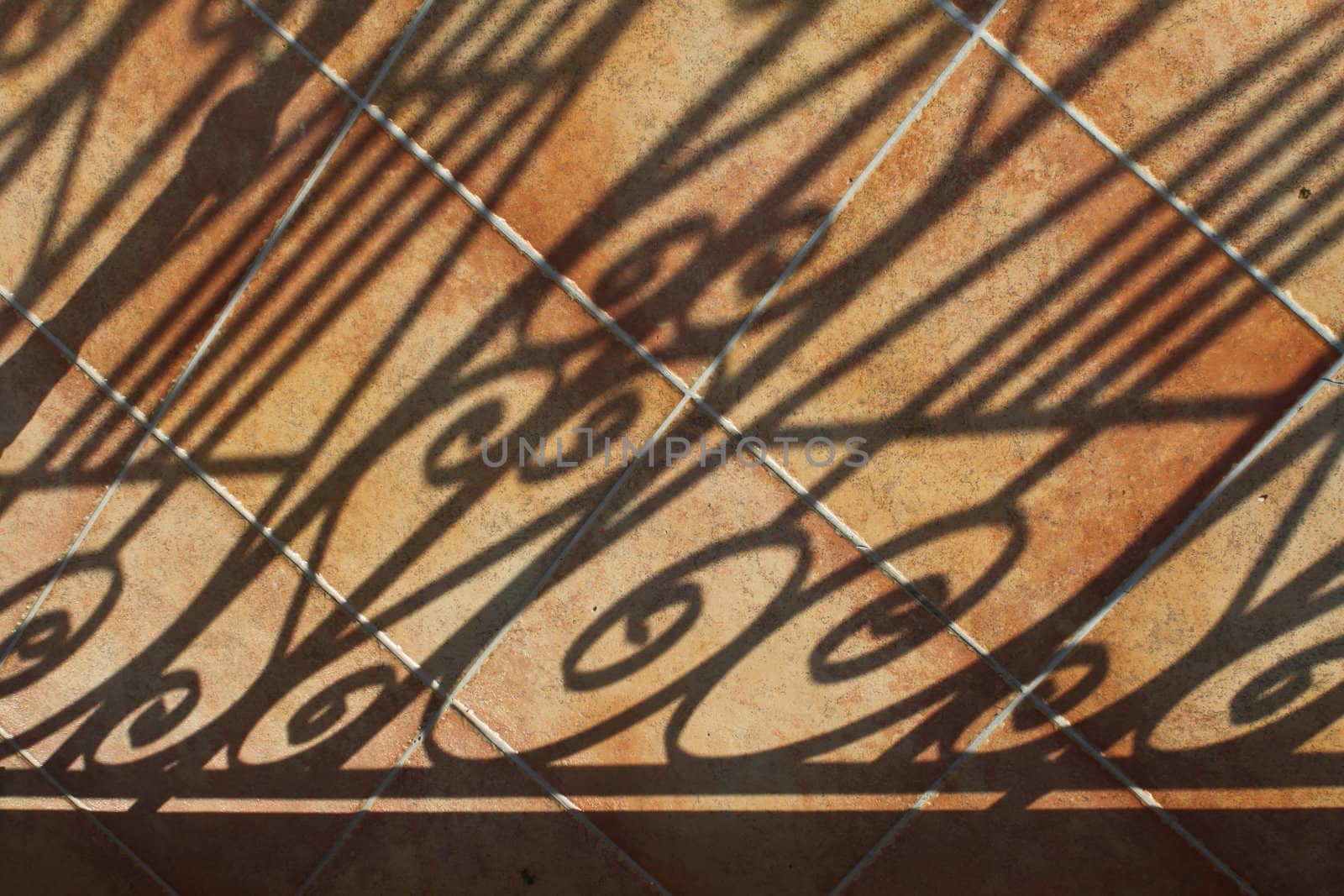 Decorative curly shadows falling on tiled terracotta patio